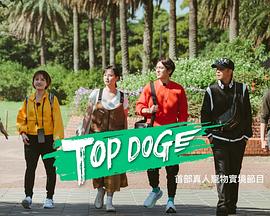黑料门大事记《TOP DOG》免费在线观看
