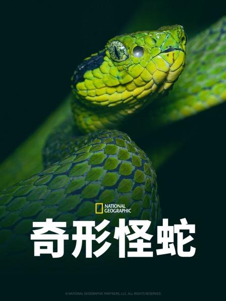 黑暗爆料APP《奇形怪蛇》免费在线观看